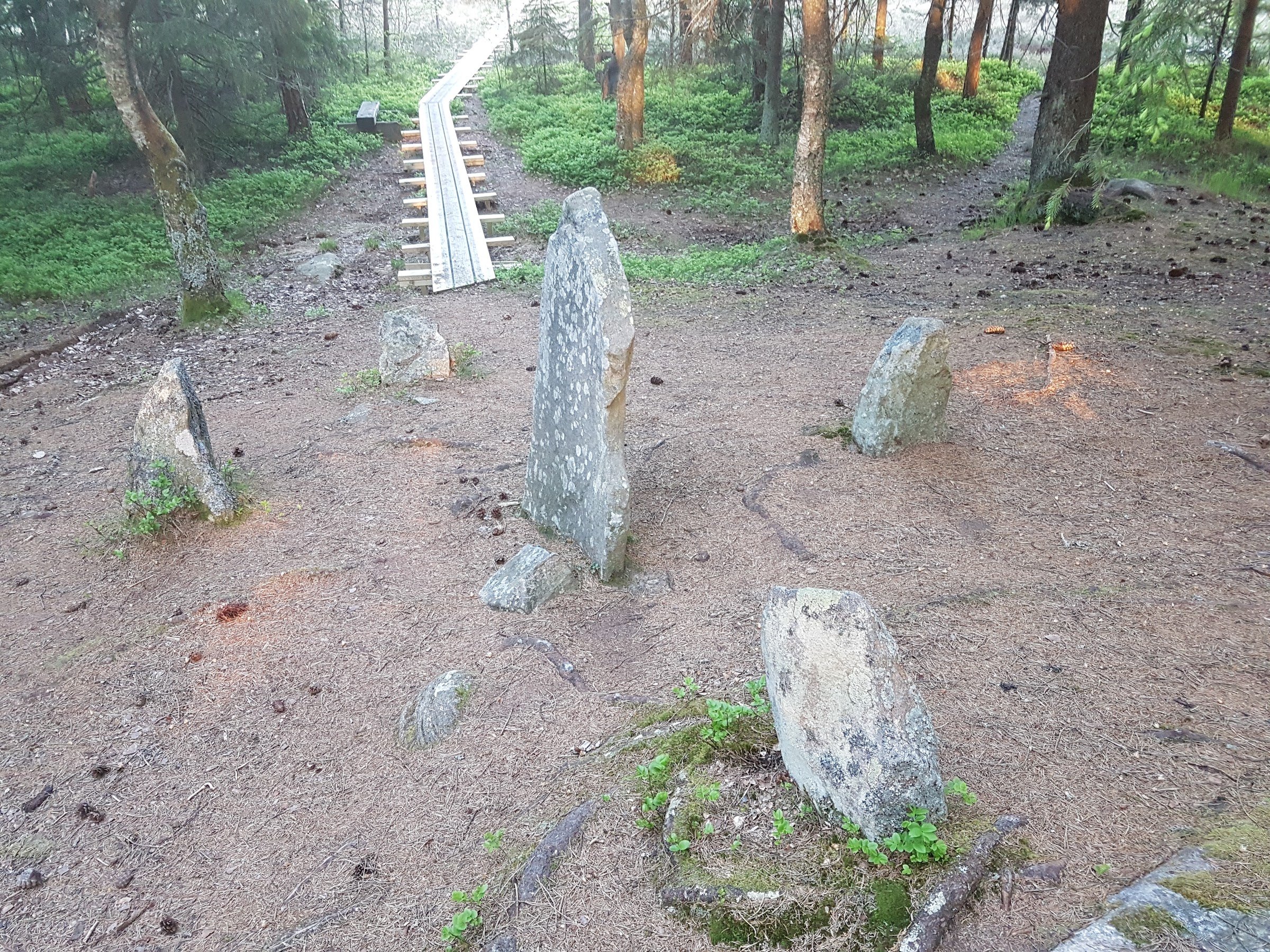 Komosse Naturreservat